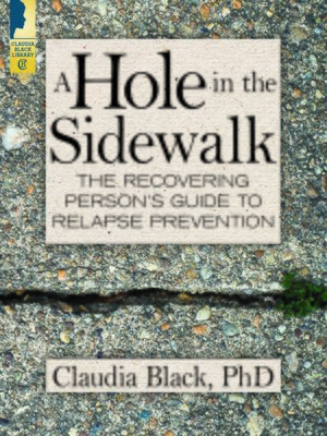 cover image of A Hole in the Sidewalk